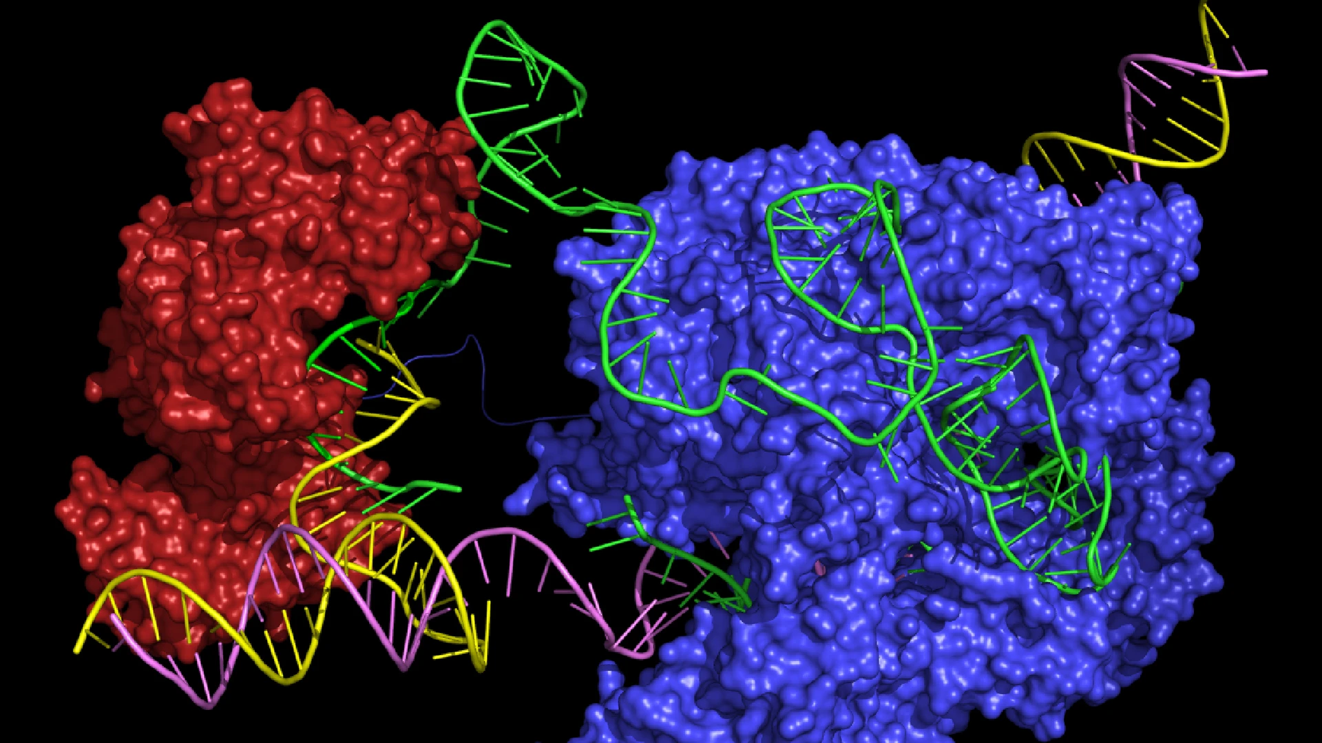 Precision Gene Editing Tools
