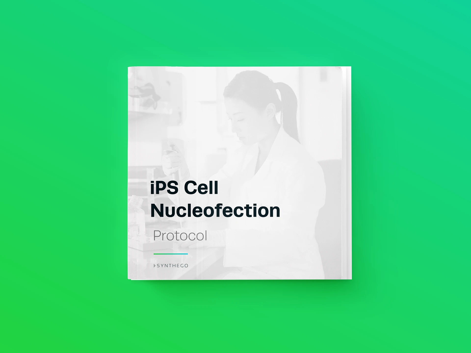 iPS Cell Nucleofection