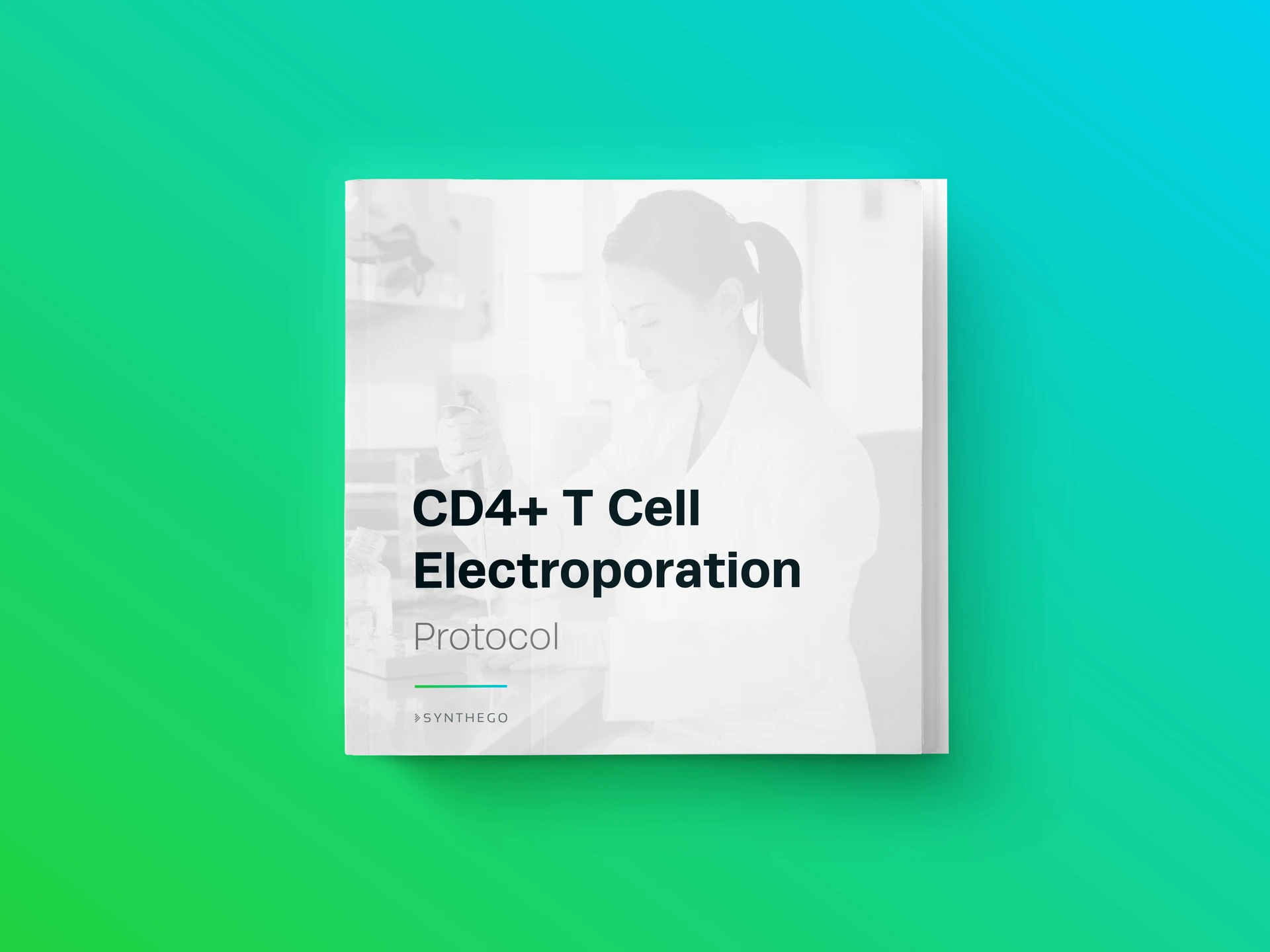 CD4+ T Cell Neon Electroporation