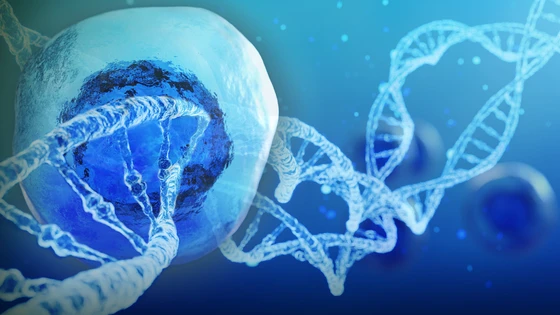 Overcoming Barriers of CRISPR Gene Editing in iPS Cells