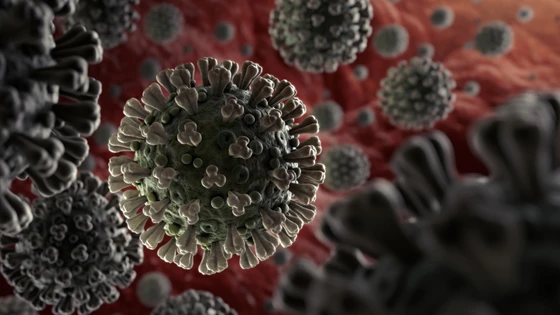 Coronavirus Detection Using CRISPR Diagnostics