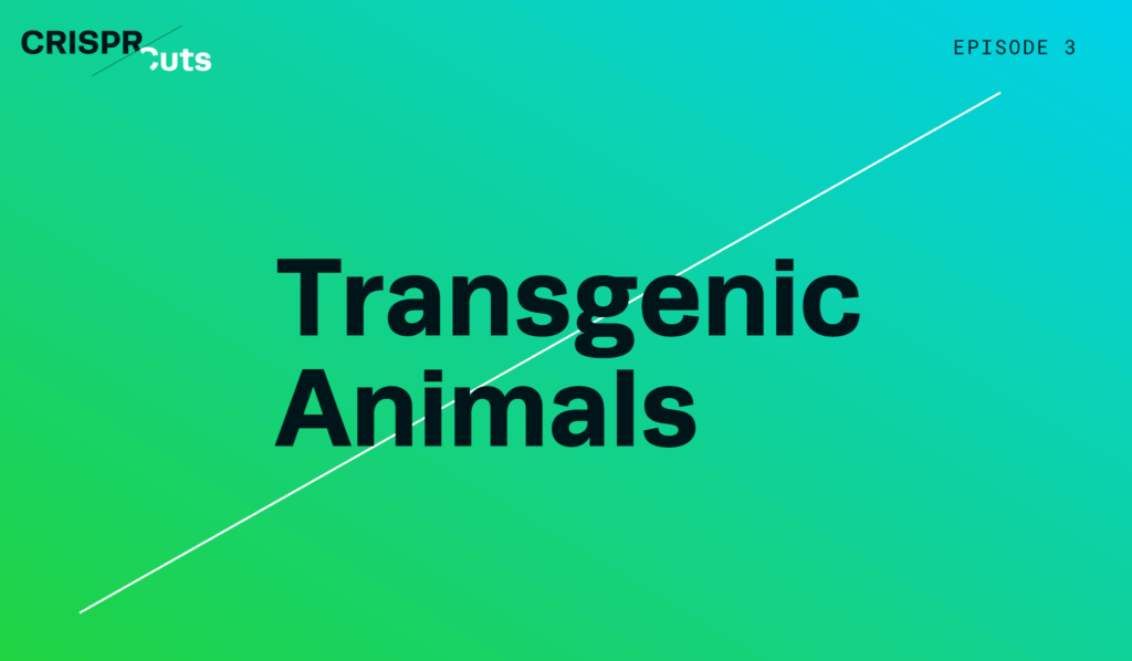 CRISPR Has Expanded Transgenic Animal Research
