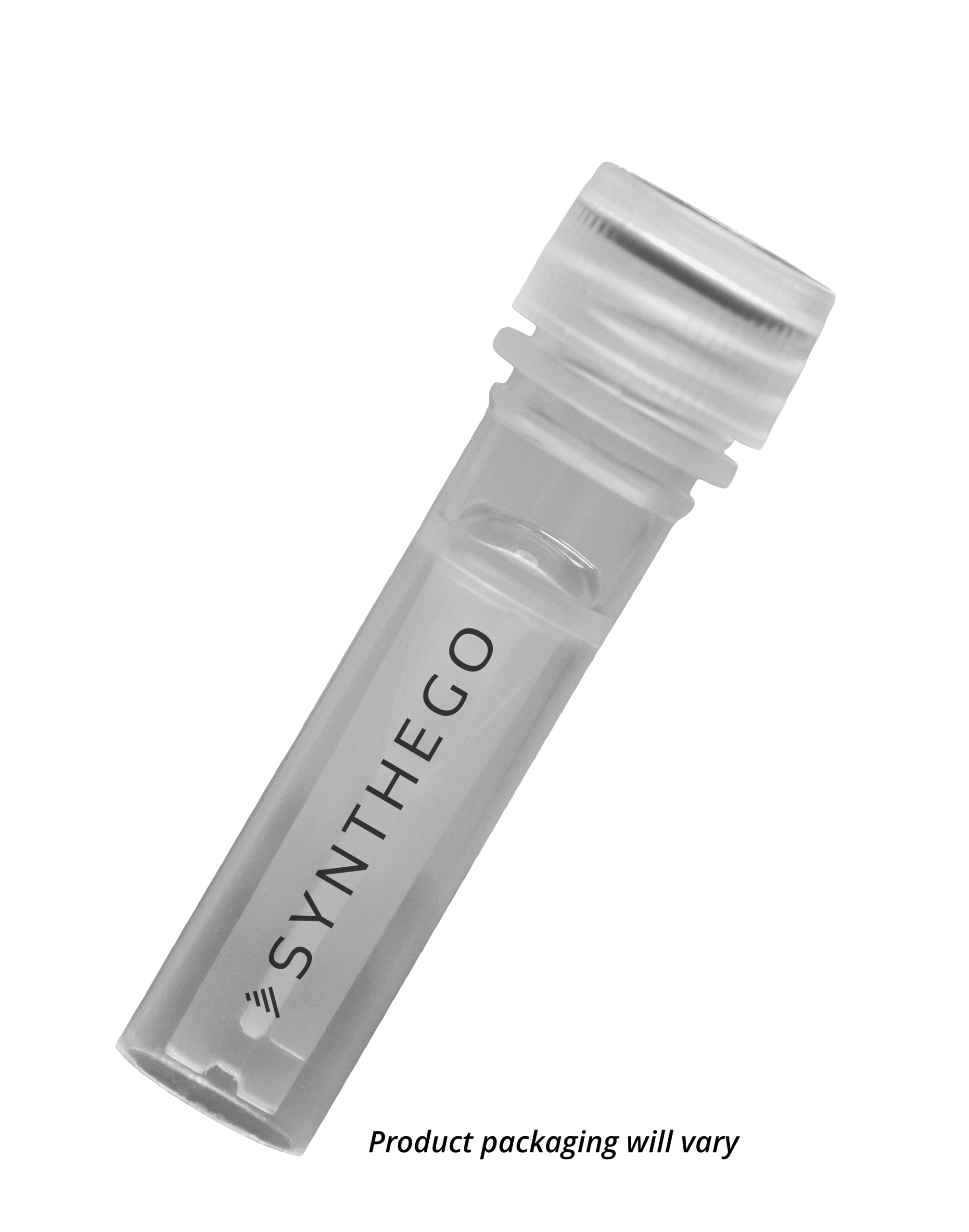 Recombinase Polymerase Amplification (RPA) Endpoint Kit