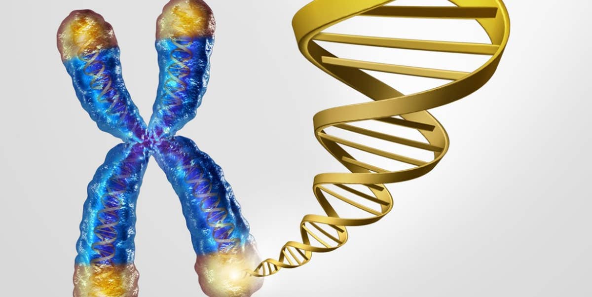 Conceptual illustration of telomeres on DNA